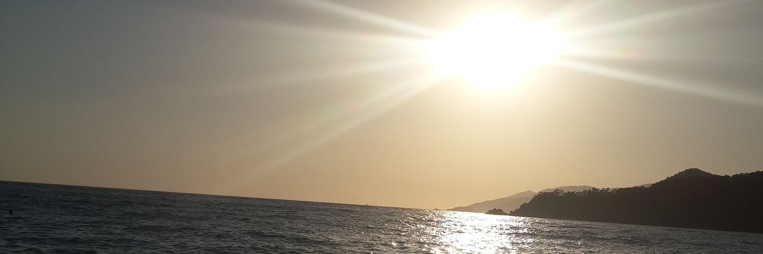 NesqaFe0's profile banner image