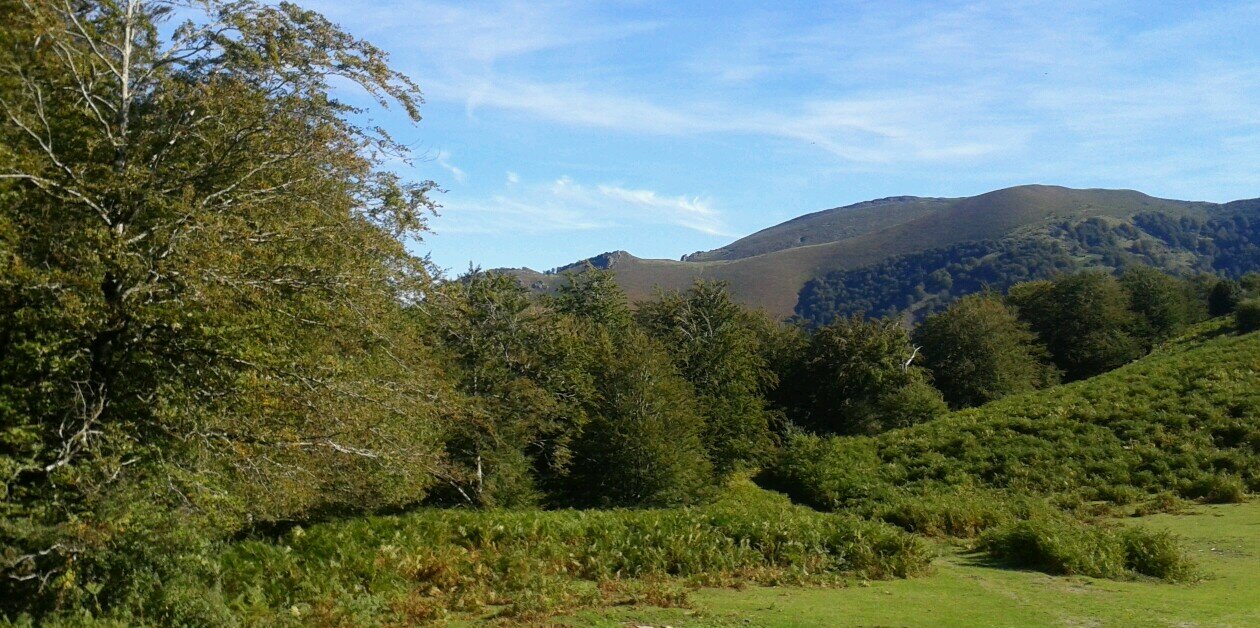 Azucena Aldaz banner