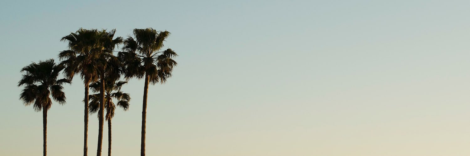 Kiiproject banner