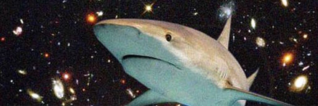 Csimo59's profile banner image