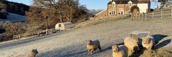 UrchTyrone Profile Banner