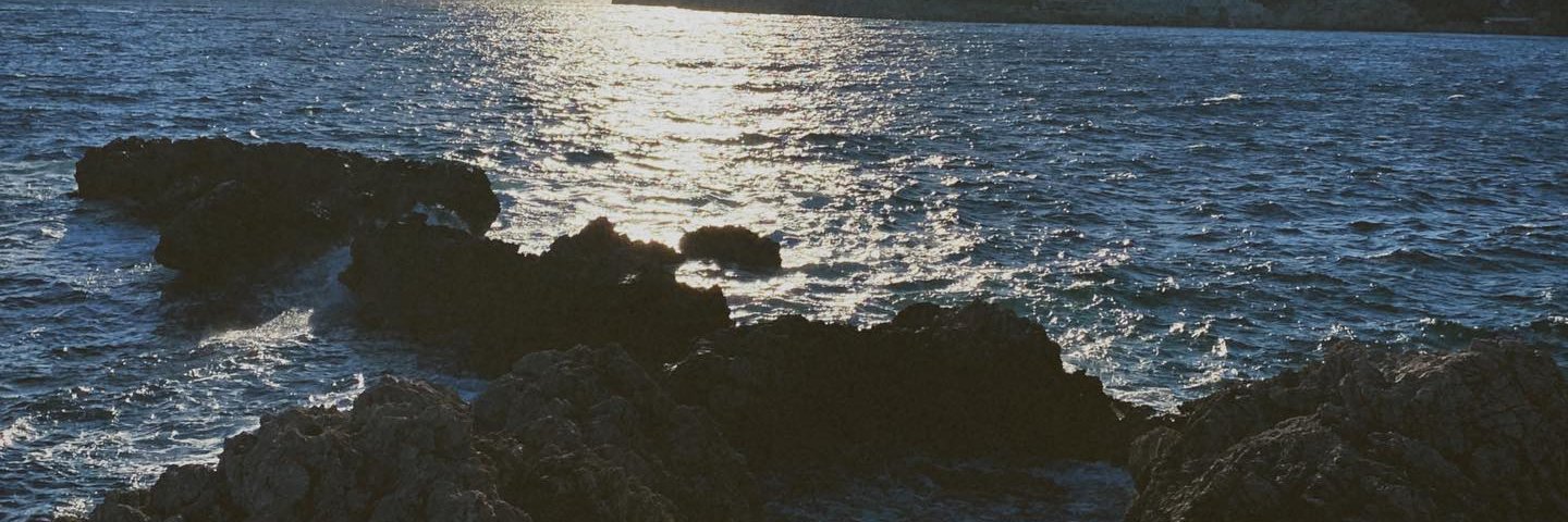 Flying Cat🐱 banner