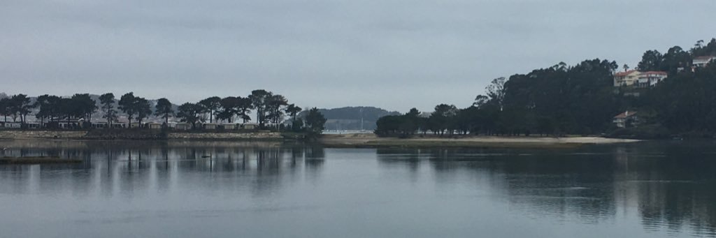 David Rodríguez banner