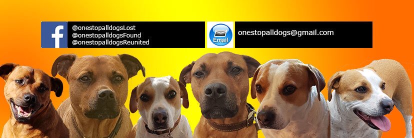 ONE STOP - ALL DOGS banner