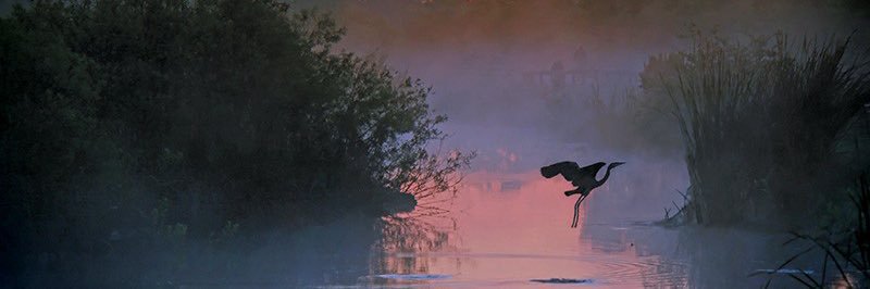 WavyOV's profile banner image