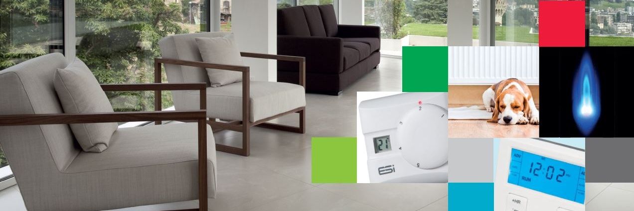 ESi Controls Ltd banner