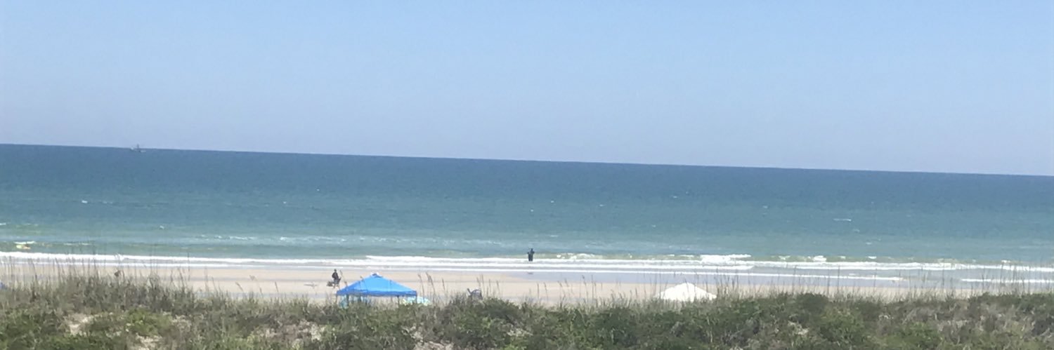 BeachTerrie's profile banner image