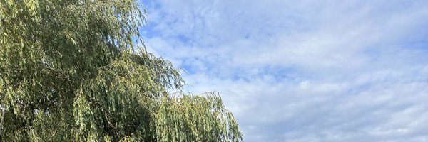 bisandud Profile Banner