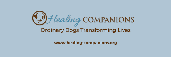 PSDHealingDogs Profile Banner