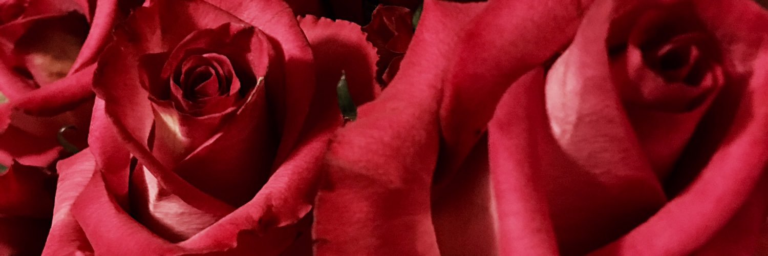 _elizabeth91's profile banner image