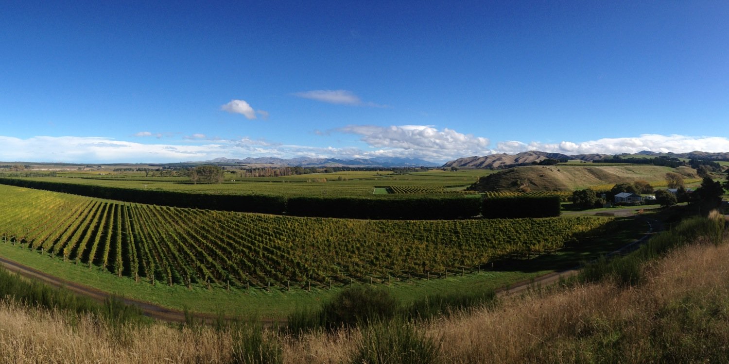 davidtyneywine's profile banner image