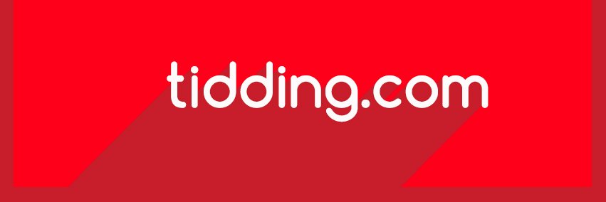 TiddingOfficial's profile banner image