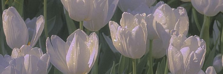 mads_rae's profile banner image