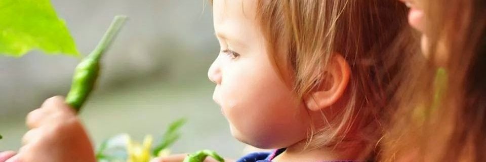 akay_bugra's profile banner image