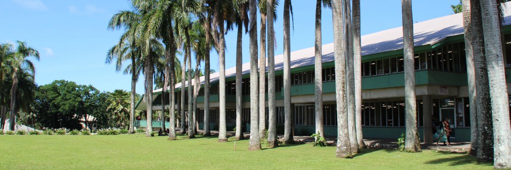 USP Library banner