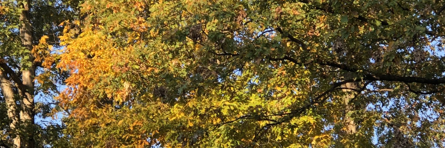 _mattylite's profile banner image