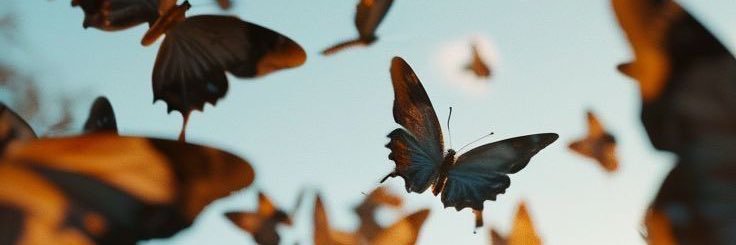 _dailJ's profile banner image