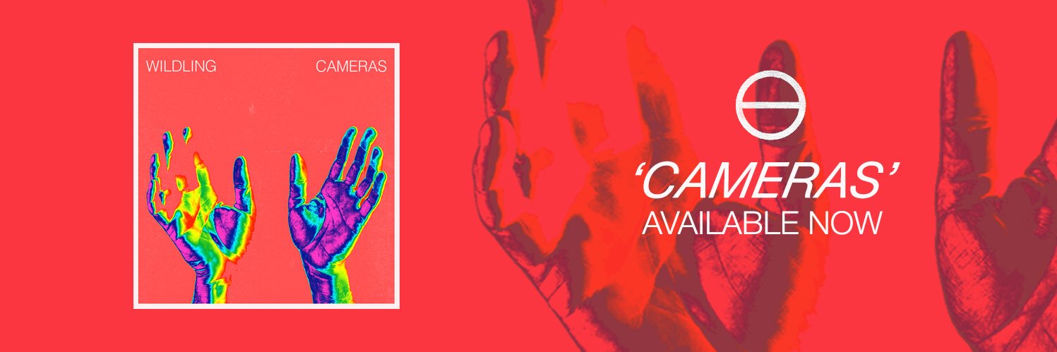WildlingMusic's profile banner image