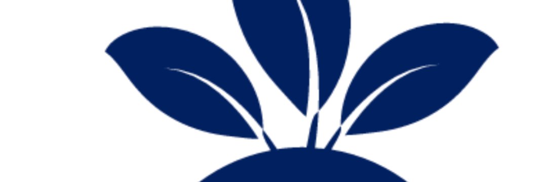 TeamTom Education banner