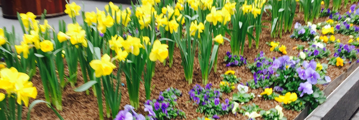 Annette Quinet banner