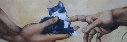 Mary_Janys's profile banner image