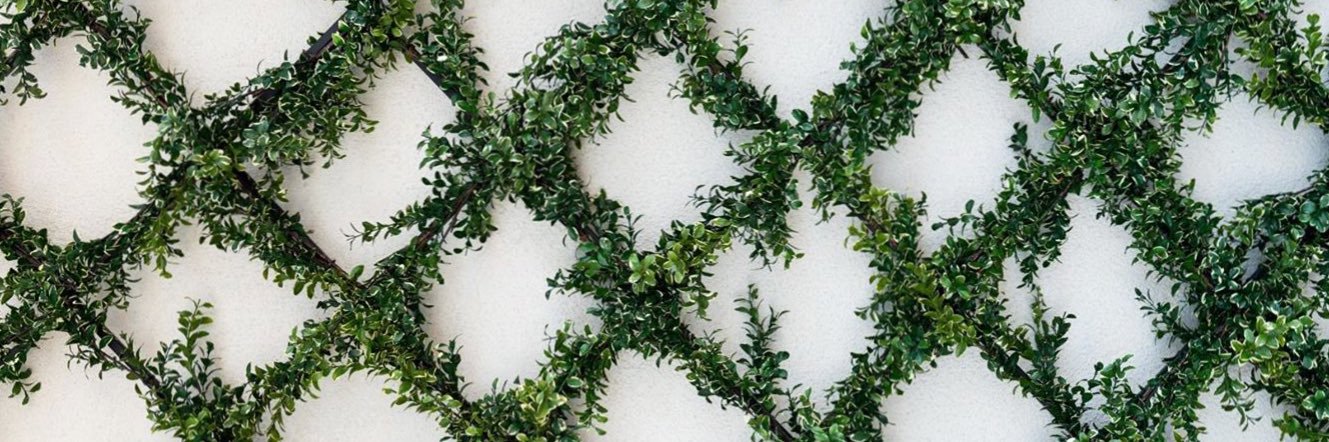 CarolineeKate's profile banner image