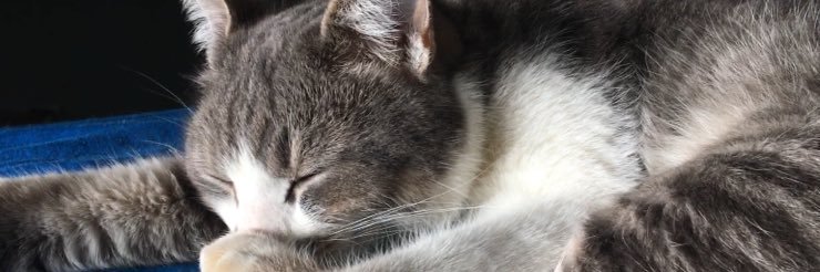 PauFelix_'s profile banner image