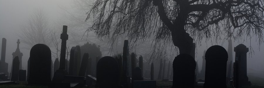 vrykul's profile banner image