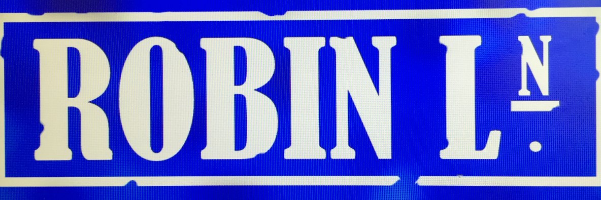 Robin Lane Duo banner