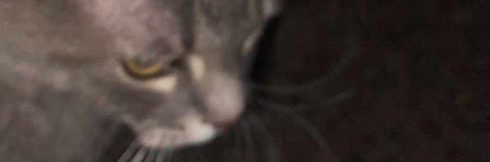 k_atorade's profile banner image