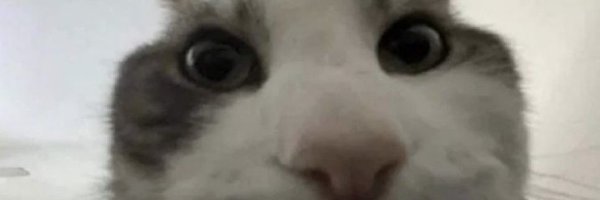 seinz7 Profile Banner