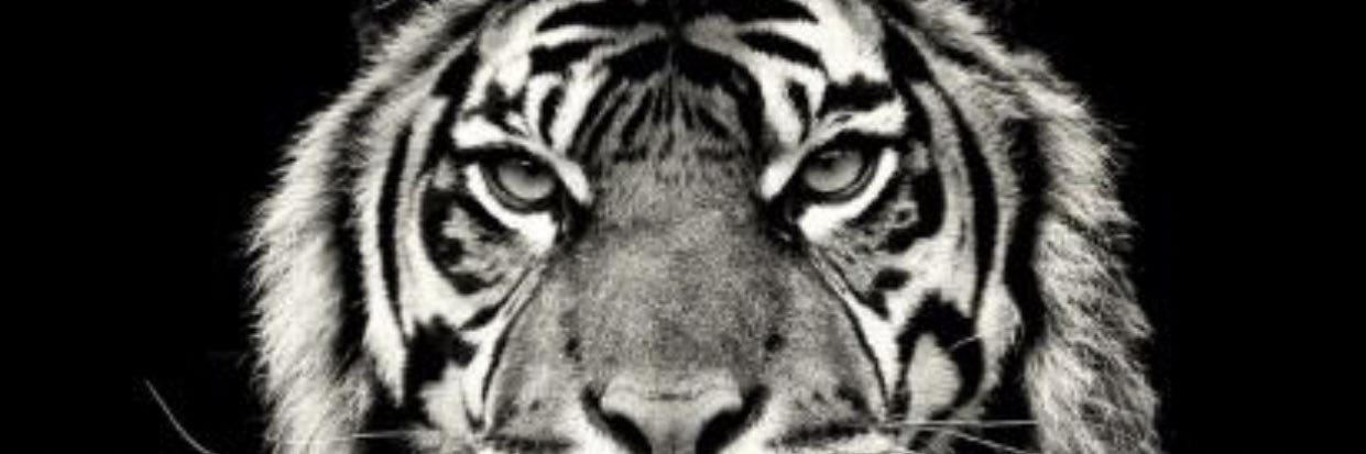 h_ktman's profile banner image