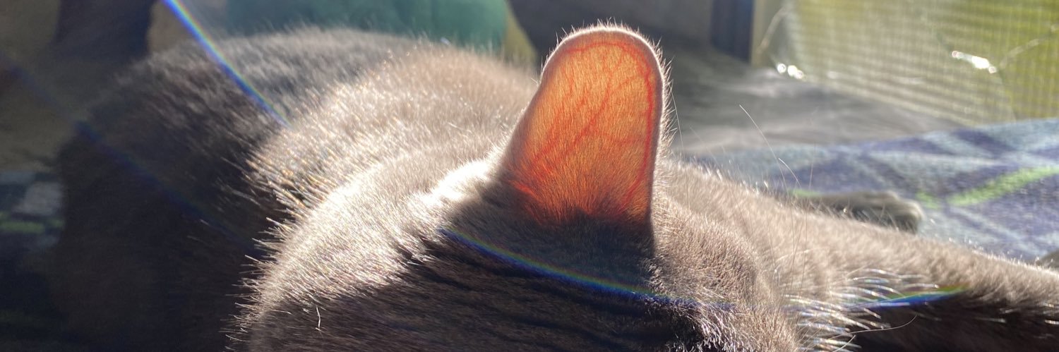 AyeDri6's profile banner image