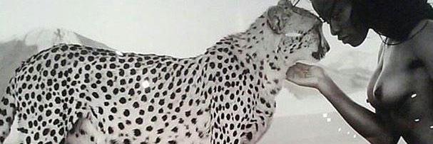 _dotts's profile banner image