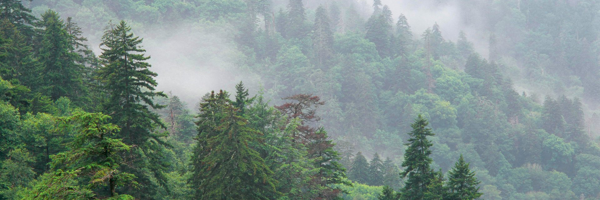 xojaycc's profile banner image