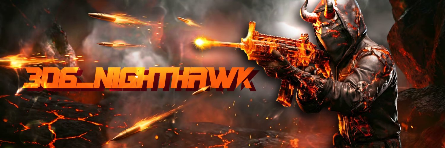 306_nighthawk banner