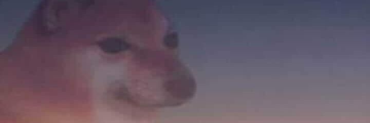 ParadaBaesta's profile banner image