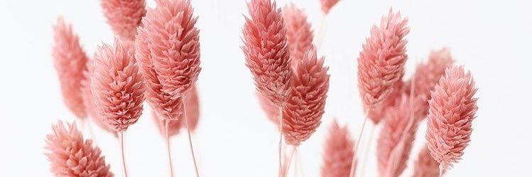 emilytowee's profile banner image