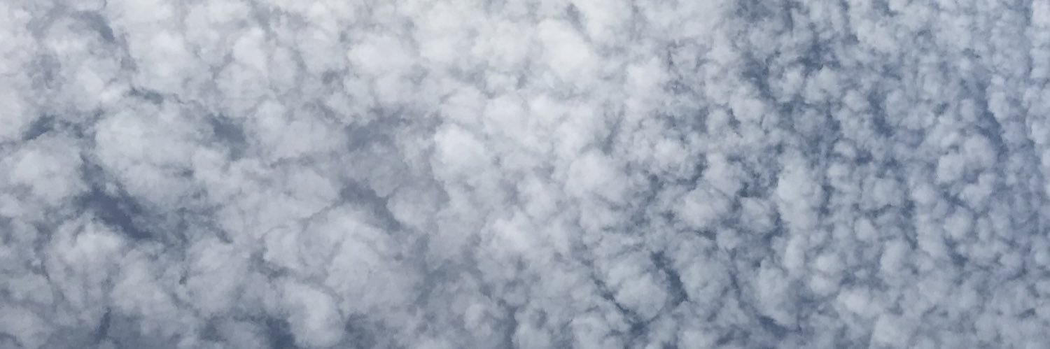 Emily_Crocetti's profile banner image