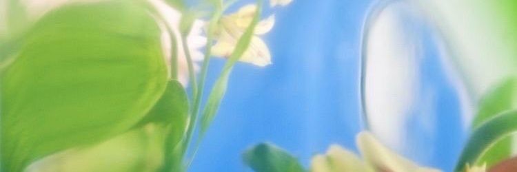 lipfeatjen's profile banner image