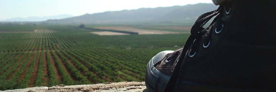 plan_fuga's profile banner image