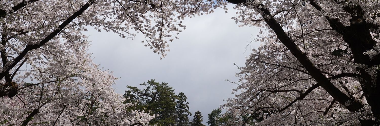 ぐんちゃん banner