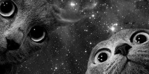 lisidone's profile banner image