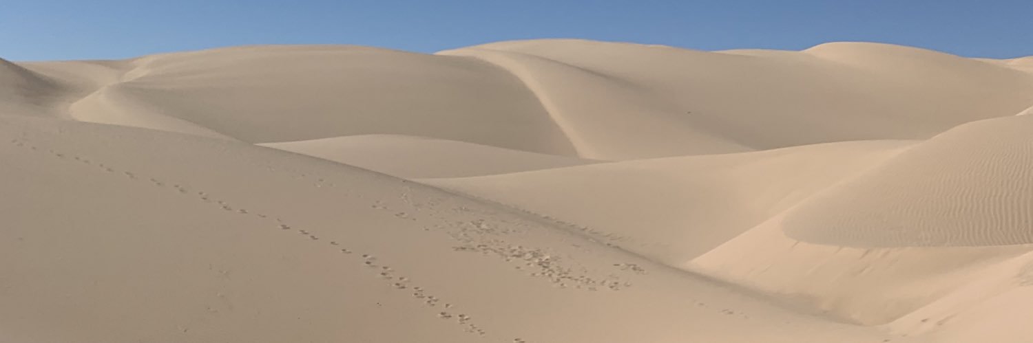 SullivanChey's profile banner image
