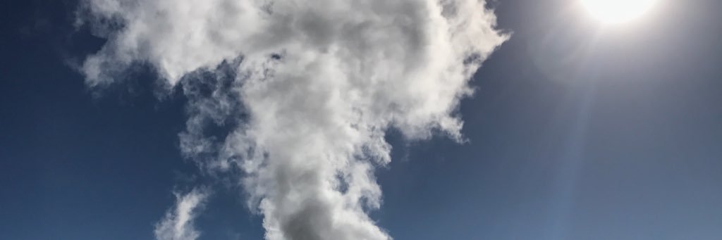 Scallywag banner