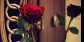 AlwaraDNada's profile banner image