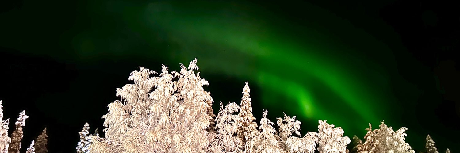 ᑭoᙢҽ🐾 banner