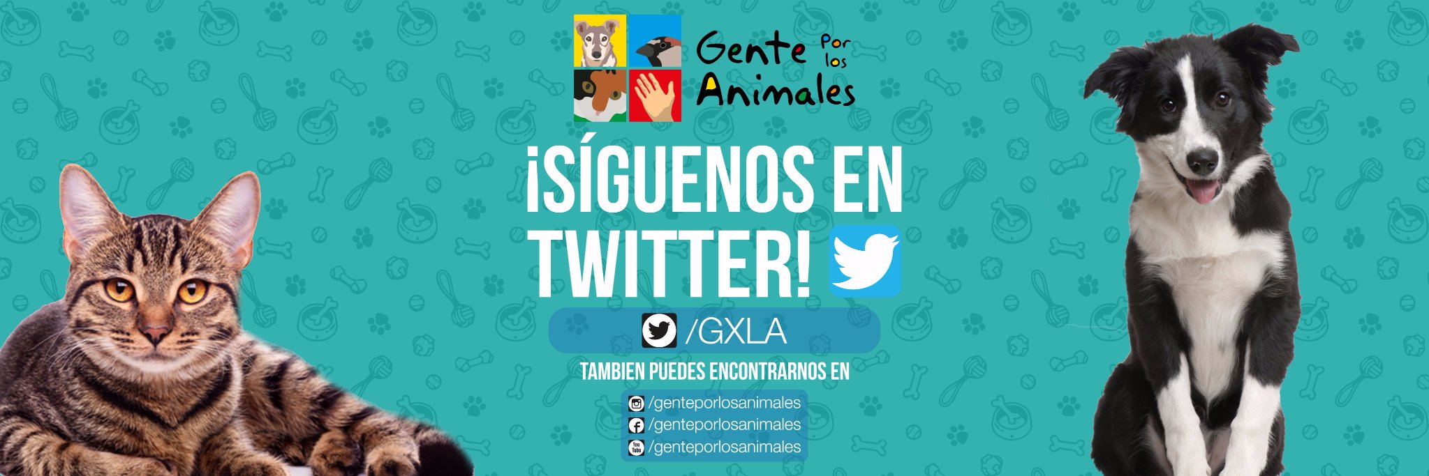 GXLA's profile banner image