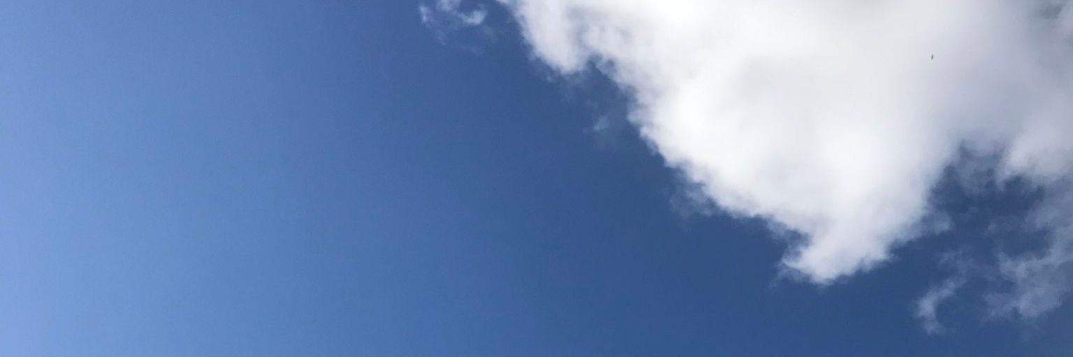 tr0picalfleur's profile banner image