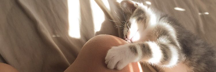 gilliangraceee's profile banner image